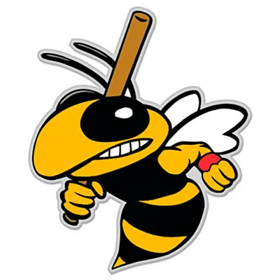 Baseball Bee Wasp Hornet Bumble Bee Car Vinyl Sticker - SELECT SIZE • $3.89