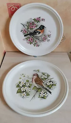 Barratts Of Staffordshire Brambling & Finch 10  Collectible Painted Bird Plates • £19.99
