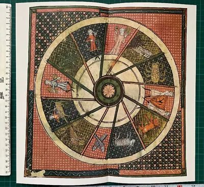 $6.69 • Buy Antique Colour Chart: The Zodiacal Constellations: Manuscript Map REPRINT 1800s