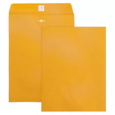 100 Pack 9x12 Brown Manila Kraft Envelopes For Filing Storing Mailing Documents • $39.75