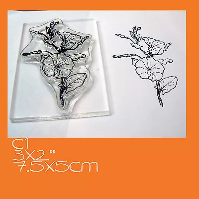 C1 Crystal Clear Morning Glory Flowers Rubber Stamp  • $8.50