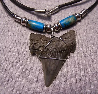 Megalodon Shark Tooth Necklace 1 3/4  Sharks Teeth Large Fossil Jaw Scuba Diver • $21.49