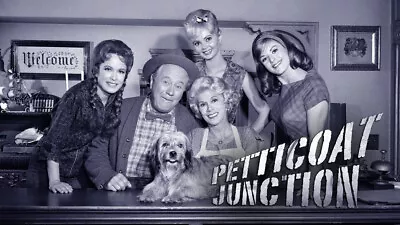 Petticoat Junction (1963) Classic Tv Show On Usb • $36.99