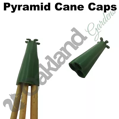 Pyramid Garden Cane Caps Rubber Protectors Toppers Eye Protection Bamboo Wigwam • £124.95