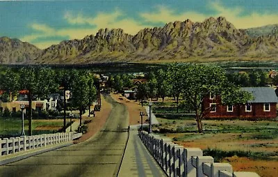 Organ Mountains And Viaduct Las Cruces N. M. Vintage Postcard P55 • $5.49