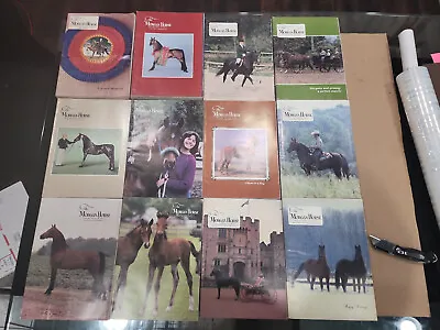 The Morgan Horse Magazine Lot 12 Vintage Issues Complete 1984 *See Description • $34.99