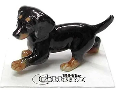 ➸ LITTLE CRITTERZ Dog Miniature Figurine Dachshund Black Caboose • $13.01