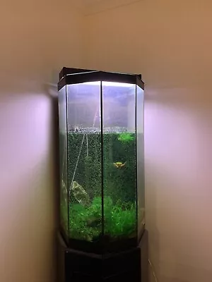 $499 • Buy 5Ft Tall Custom Aquarium Fish Tank, Cabinet, Heater, Pump, Filter & Light + More
