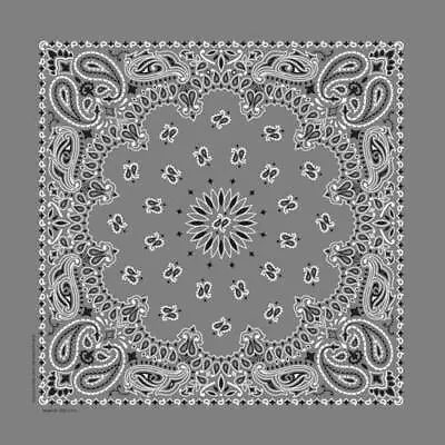 Hav-A-Hank USA Made 100% Cotton Paisley Bandannas Bandanas 22 X22  • $1.99