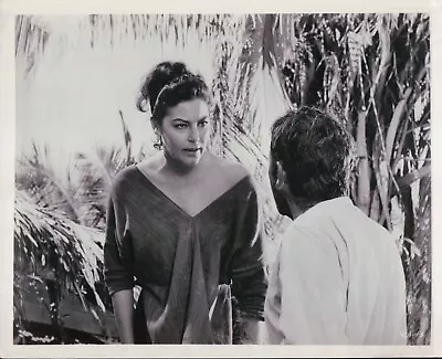 £14.59 • Buy 8x10 Photo The Night Of The Iguana 1964 Richard Burton Ava Gardner Deborah Kerr