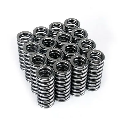 Skunk2 Racing Honda Civic Valve Springs D16 D16z6 D16y7 D16y8 1.6l Sohc D-series • $167.99