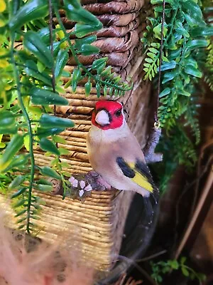 Goldfinch On Branch Hanging Garden Ornament Vivid Arts Garden Birds Decorations • £16.95