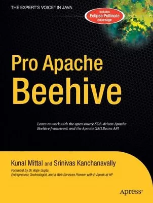 PRO APACHE BEEHIVE (EXPERT'S VOICE IN JAVA) By Kunal Mittal & Srinivas VG • $21.95