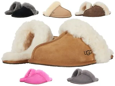 UGG Women's Scuffette II Slippers Authentic With Original Box 1106872 • $99.95