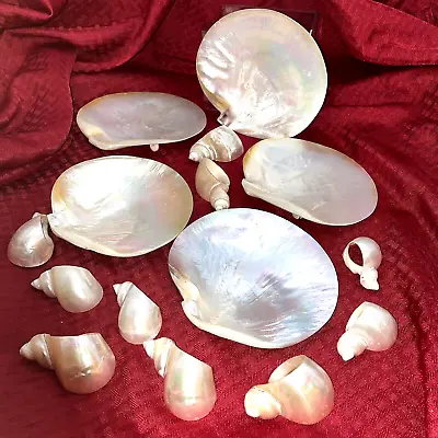 Mother Of Pearl Footed Caviar Dishes And Napkin Rings - 15 Pieces • $175