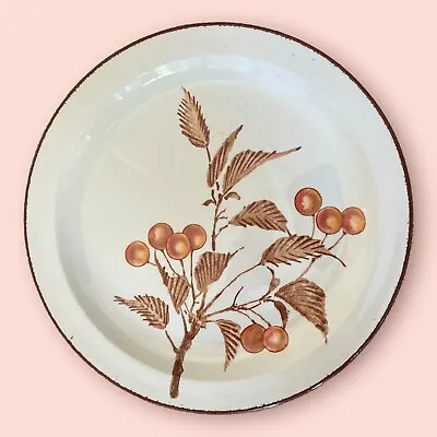 Vintage Retro Midwinter Stonehenge - Wild Cherry - Dinner Plate - 4 Available • £14.95