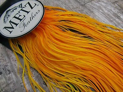 Metz Grade 2  West Of Ireland Golden Olive Cock Saddle Hackle Cape Flat Wing • $55.94