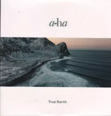 True North [VINYL] • £35.63