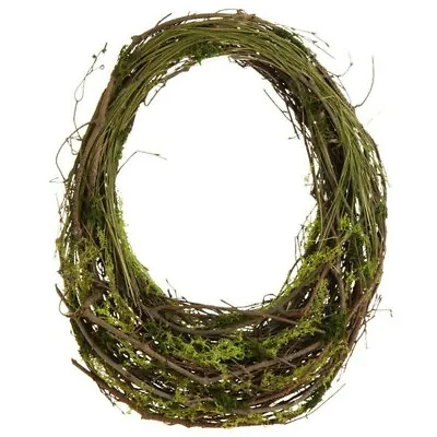 Raz Imports Enchanted Easter 21  Vines And Moss Oval Wreath • $59.95