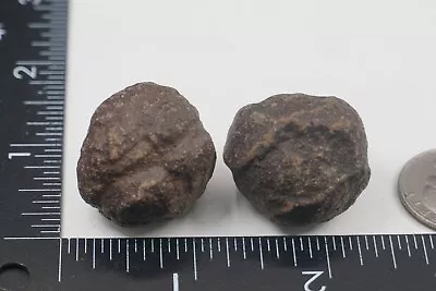 Moqui Marbles - Pair - 45g  PRE-BAN  (Shaman Stone Sandstone Concretion) #rep12 • $24.99