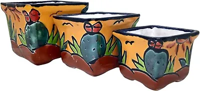 Set Of 3 Mexican Talavera Pottery Hand Painted Succulent Pot Planters- Cactus • $22