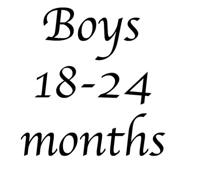£2.50 • Buy Baby Boys Clothes 18-24 Months - Create Your Own Bundle