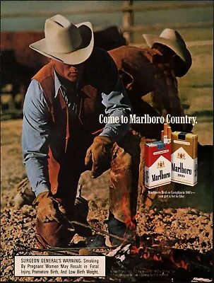 1989 Print Ad Marlboro Cigarettes Tobacco Cowboy Rope Chaps Cows  12/08/22 • £7.32