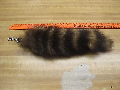 Jumbo Tanned Raccoon Tail Key Chain / Trapping / Fur Coats • $17.99