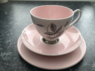 Queen Anne Harvest Pink Bone China Tea Trio Set Cup Saucer And Teaplate • £4.99