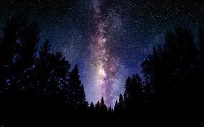 THE MILKY WAY Outer Space Poster BEAUTIFUL COLORS LIGHT STARS Trees 20x30-YY1 • $9.99