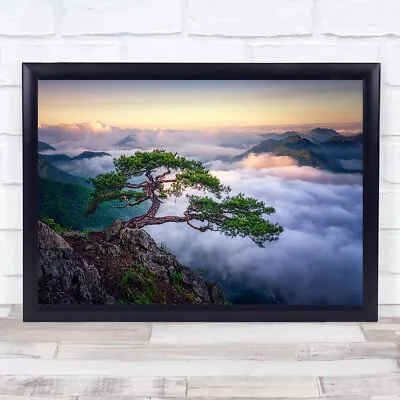 On The Rock Tree Cloud Sunrise Panorama Pine Bonsai Wall Art Print • $32.31