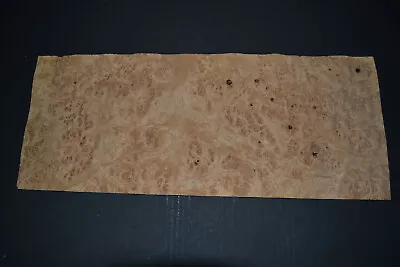 Oak Burl Raw Wood Veneer Sheet 7 X 17 Inches  1/42nd                    9312-39 • $9.99