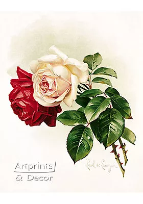 White And Crimson Roses By Paul De Longpre (Art Print Of Vintage Art) • $12.99
