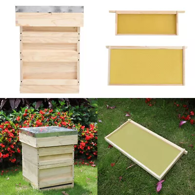 UK National Bee Hive Box Brood Wooden Bee Hive Frames And Foundation Beekeeping • £35.95