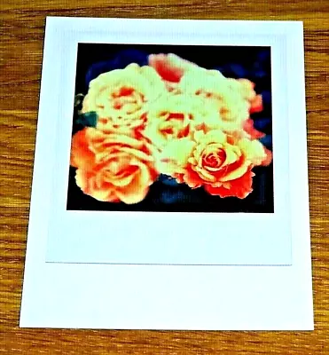 The Impossible Spectrum Project Photograph Postcard ~ A Bunch Of Orange Roses • £1.50