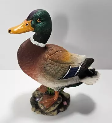 MALLARD DUCK Figurine Resin Standing On Rocks 6  Tall • $12.45