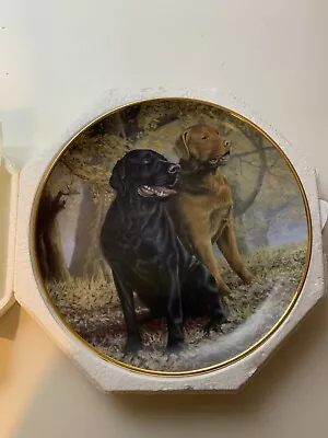 £14.99 • Buy LIFELONG COMPANIONS Plate Black & Chocolate Labrador Retriever By Nigel Hemming