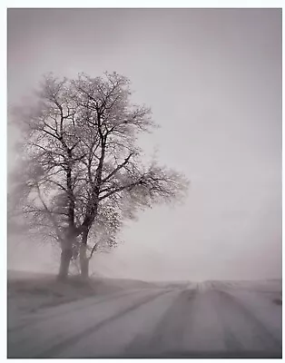 TODD HIDO 'Untitled #9216-B' (Excerpts From S.M. Series) SIGNED Color Photograph • $280