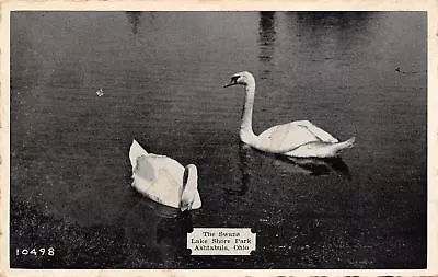 Ashtabula Ohio~Lake Shore Park~Swans~1948 B&W Postcard • $6