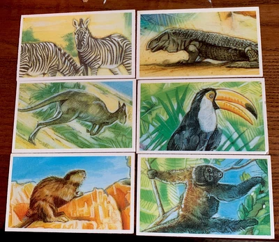 £0.99 • Buy BROOKE BOND Picture Cards 1994 GOING WILD  Wildlife Survival Challenge 6 CARDS