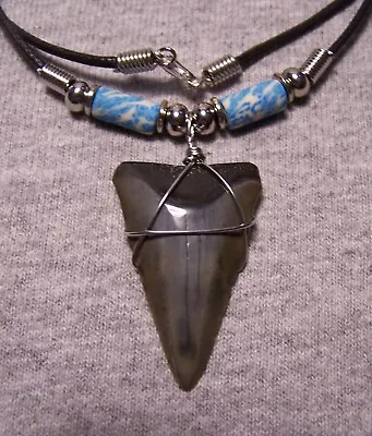 Mako Shark Tooth Necklace 1 9/16  Sharks Teeth Fossil Jaw Megalodon Scuba Diver • $20