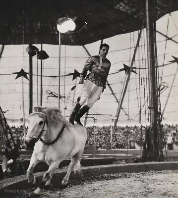 $168.26 • Buy 1940 Vintage CIRCUS CARNIVAL Horse Bareback Stunt Rider Ringling Photo Art 12x16
