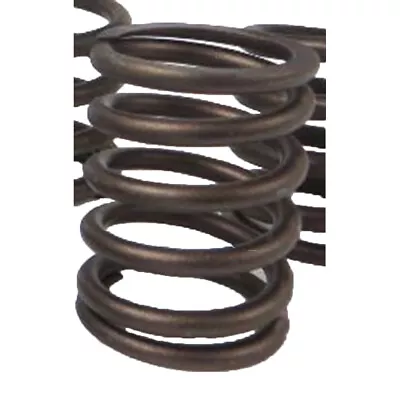 6I0284 Inner Valve Spring Fits Caterpillar Industrial Construction Models • $25.99