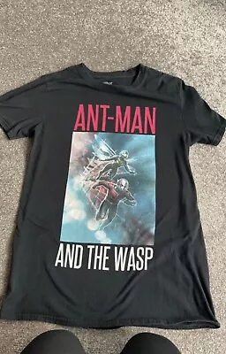 £10 • Buy Walt Disney Comic Book Marvel Studios Ant Man And The Wasp Tshirt Top - Unisex