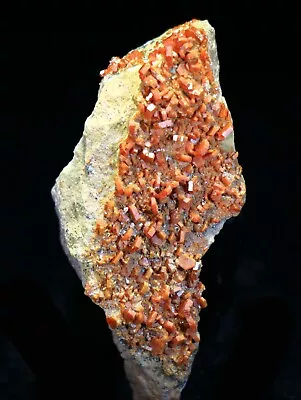 3.35  Red Vanadinite Crystals On Matrix  Morocco!  4A07 • $0.99