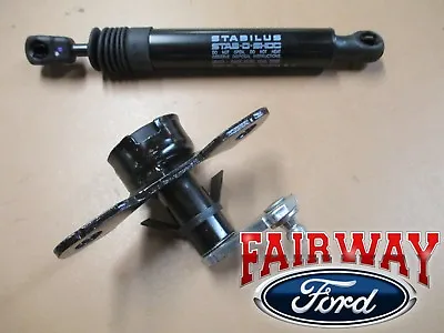 15 Thru 20 Ford F-150 OEM Genuine Ford Parts Tailgate Damper Kit - No More SLAM! • $84.95