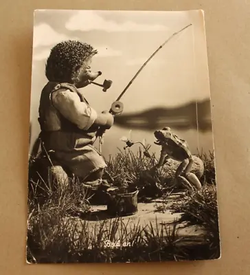 Mecki The Hedgehog Fishing Old Postcard 1956 From Germany  6 X4 • $5.95