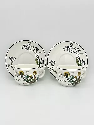 Villeroy & Boch Botanica Coffee Tea Cups & Saucers Tussilago Yellow Flower EXCL! • $21.95