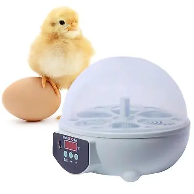 Mini Egg Incubator Egg Turner Tray Digital Poultry 6 Eggs For Birds Quail • £24.32