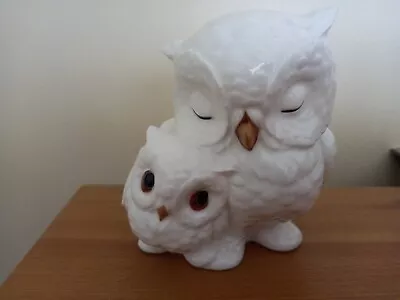 £4.99 • Buy Royal Osborne Owls Bone China